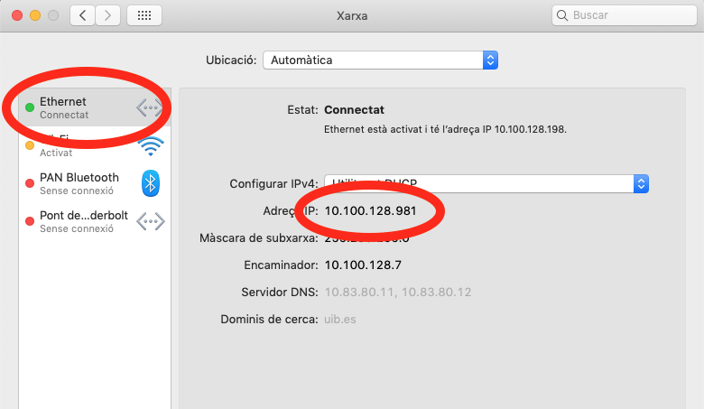 Direcció IP
