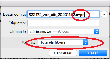 Figura 2 - verificar format fitxer